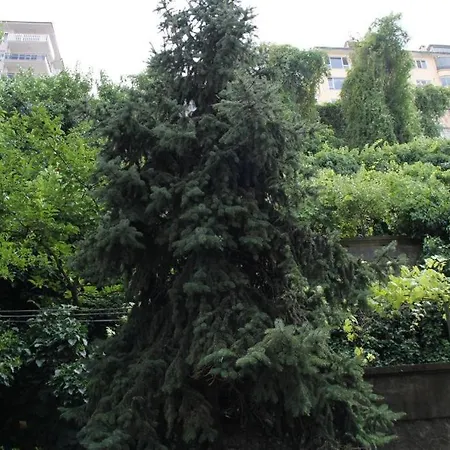 Aparthotel Abbasi 4*